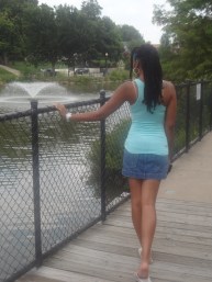 Swan Lake Park (Midtown)