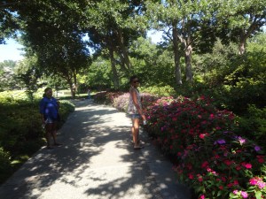 Nice stroll (actually a hot stroll lol)